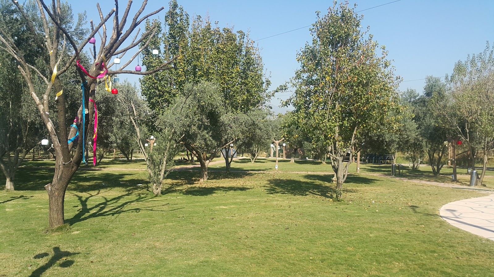 Aydiyar Kır Düğün Bahçesi — Efeler, Aydın kır düğünü mekanı görsel 4