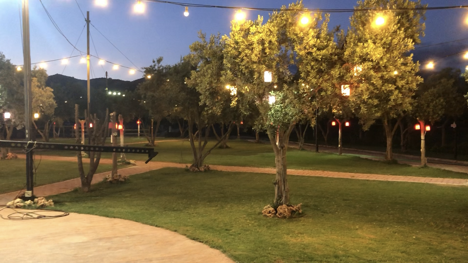 Aydiyar Kır Düğün Bahçesi — Efeler, Aydın kır düğünü mekanı görsel 6