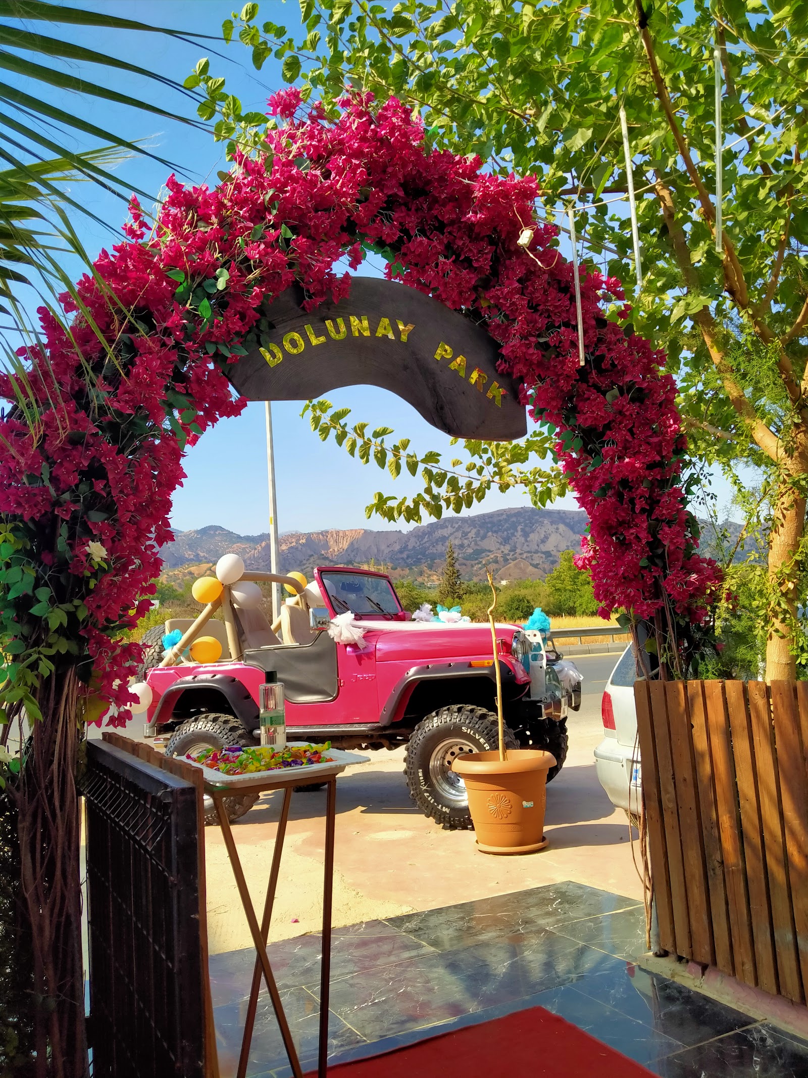 Dolunay Park Kır Düğün Salonu — Efeler, Aydın kır düğünü mekanı görsel 5