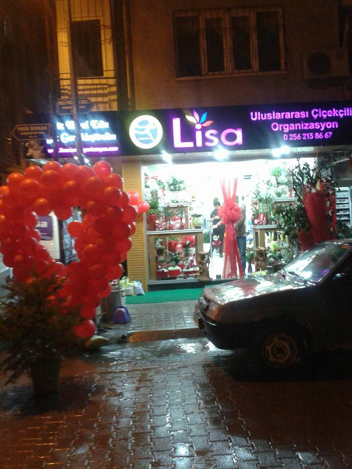 Lisa Çiçekçilik Ve Organizasyon kır düğünü mekanı — Efeler