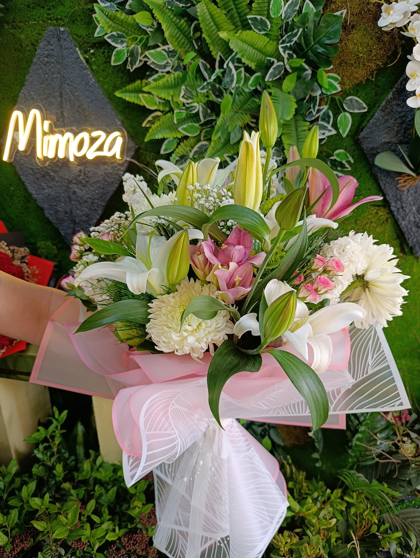 Mimoza Çiçek,Çikolata Ve Hediyelik