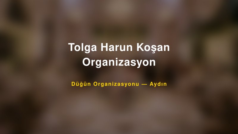 Tolga Harun Koşan Organizasyon — Aydın Kır Düğünü Mekanı Rehberi