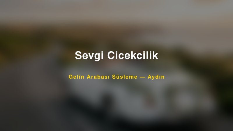 Sevgi Cicekcilik Aydın Gelin Arabası Süsleme