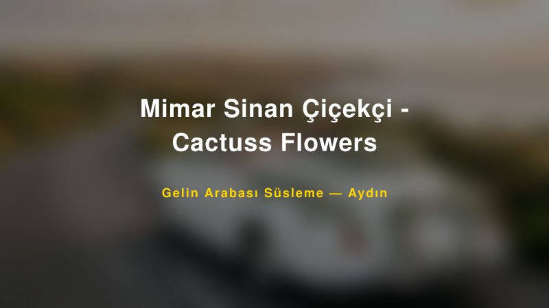 Mimar Sinan Çiçekçi - Cactuss Flowers — Aydın Kır Düğünü Mekanı Rehberi
