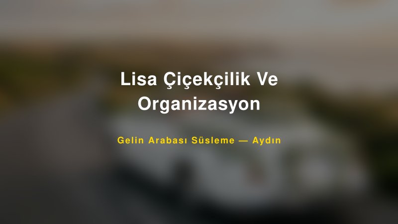 Lisa Çiçekçilik Ve Organizasyon Aydın Gelin Arabası Süsleme