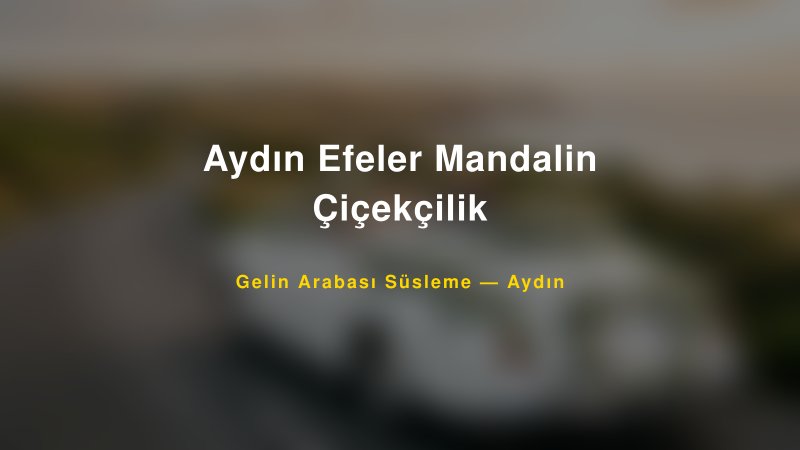 Aydın Efeler Mandalin Çiçekçilik Gelin Arabası Süsleme Fiyatları