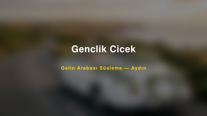Genclik Cicek Gelin Arabası Süsleme Fiyatları